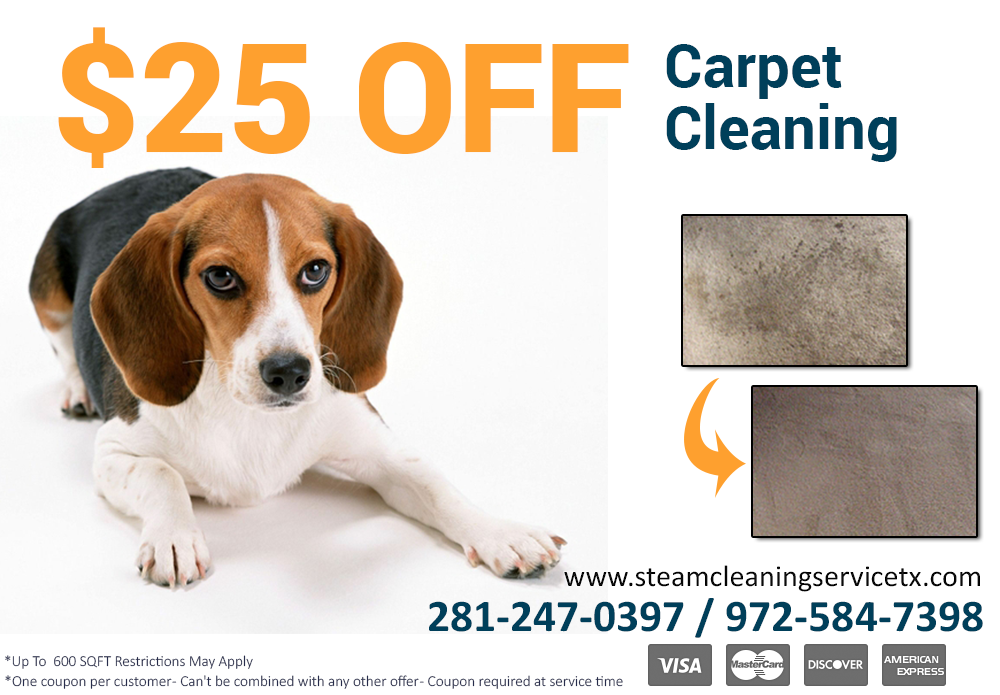 Cleaning Carpet Houston Special Offer